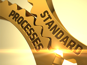 standard-processes
